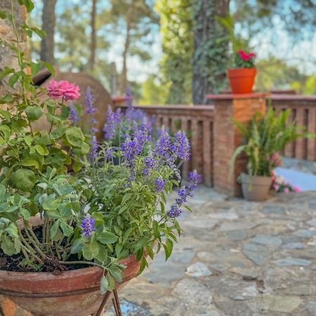 Semiramis Boutique Hotel & Spa Kato Platres Dış mekan fotoğraf