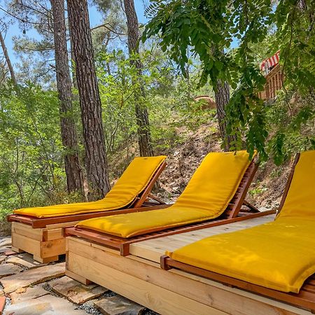 Semiramis Boutique Hotel & Spa Kato Platres Dış mekan fotoğraf