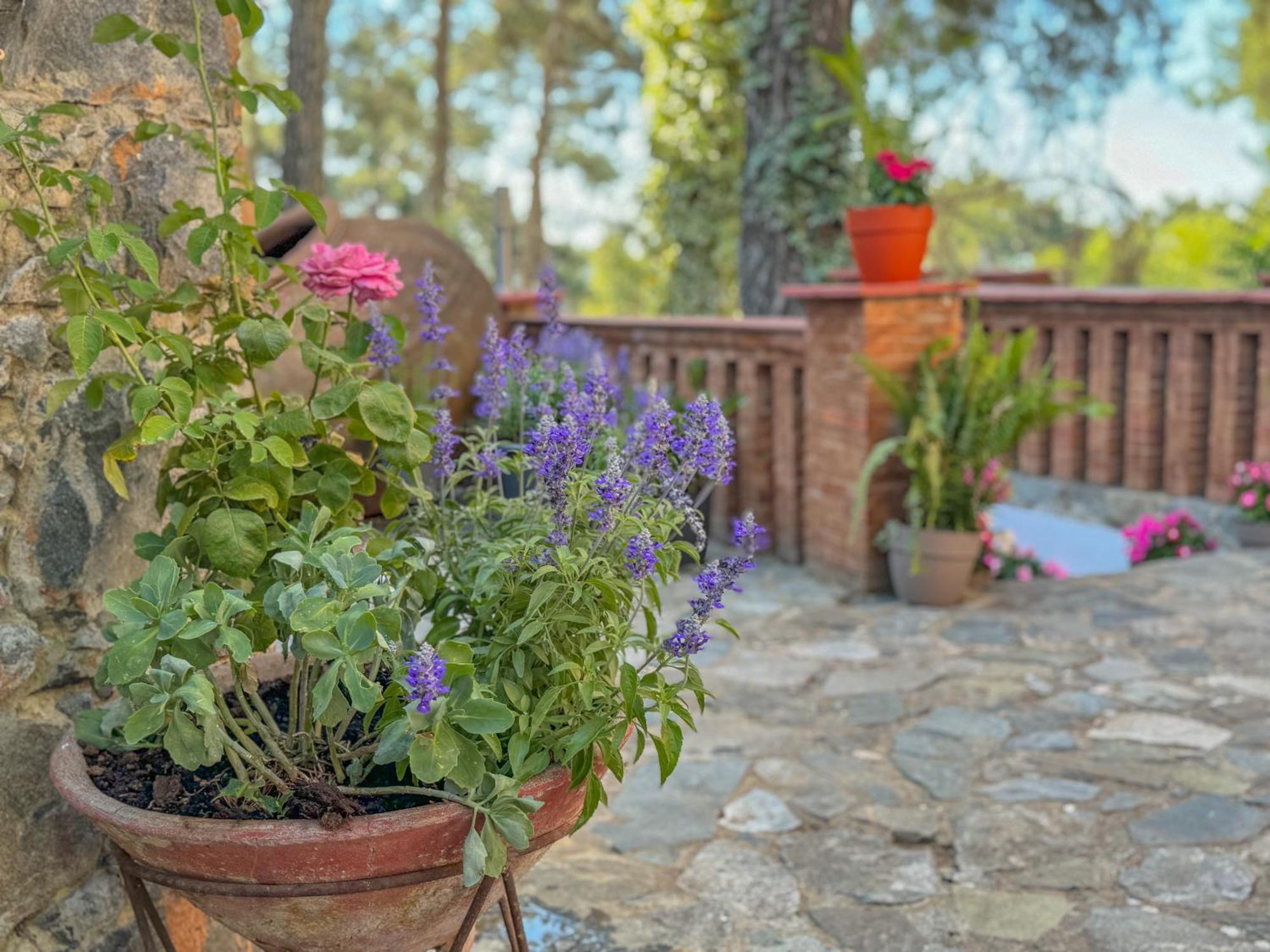 Semiramis Boutique Hotel & Spa Kato Platres Dış mekan fotoğraf